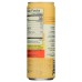 SKIN TE: Peach Mango Sparkling Wellness Tea, 12 fo