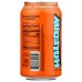 HALFDAY: Tea Green Peach Tonic, 12 fo