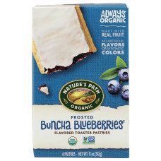 NATURES PATH: Frosted Buncha Blueberries Toaster Pastries, 11 oz