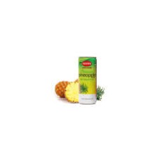 VISVITA: Bev Fruit Pineapple, 8.1 fo