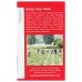 TRADITIONAL MEDICINALS: Echinacea Plus Elderberry Tea, 16 bg
