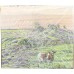 YORKSHIRE: Gold Black Tea, 40 bg