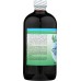 WORLD ORGANIC: Liquid Chlorophyll 50mg Natural Mint, 16 oz