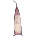 SALTEAN CHEF SECRET: Himalayan Pink Salt Standing Pouch Fine Grains, 1.1 lb