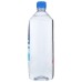 FIJI WATER: Water Artesian Natural, 1 lt