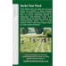 TRADITIONAL MEDICINALS: Organic Lemon Balm Caffeine Free Herbal Tea 16 Tea Bags, 0.85 oz