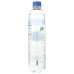 SANAVI: Blueberry Sparkling Spring Water, 17 fo