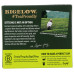 BIGELOW: Green Tea 40Bg, 1.82 oz
