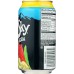 BLUE SKY: Soda Ginger Ale, 72 oz