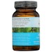 ORGANIC INDIA: Memory Gotu Kola and Bacopa Supplement, 90 cp