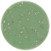 SAPPO SOAP: Aloe Oatmeal Soap, 3.5 oz