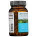 ORGANIC INDIA: Memory Gotu Kola and Bacopa Supplement, 90 cp