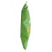 IWON ORGANICS: Spicy Sweet Peppers Flavor Snack Stix, 5 oz