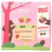 BEAR YOYO: Raspberry Fruit Rolls, 3.5 oz